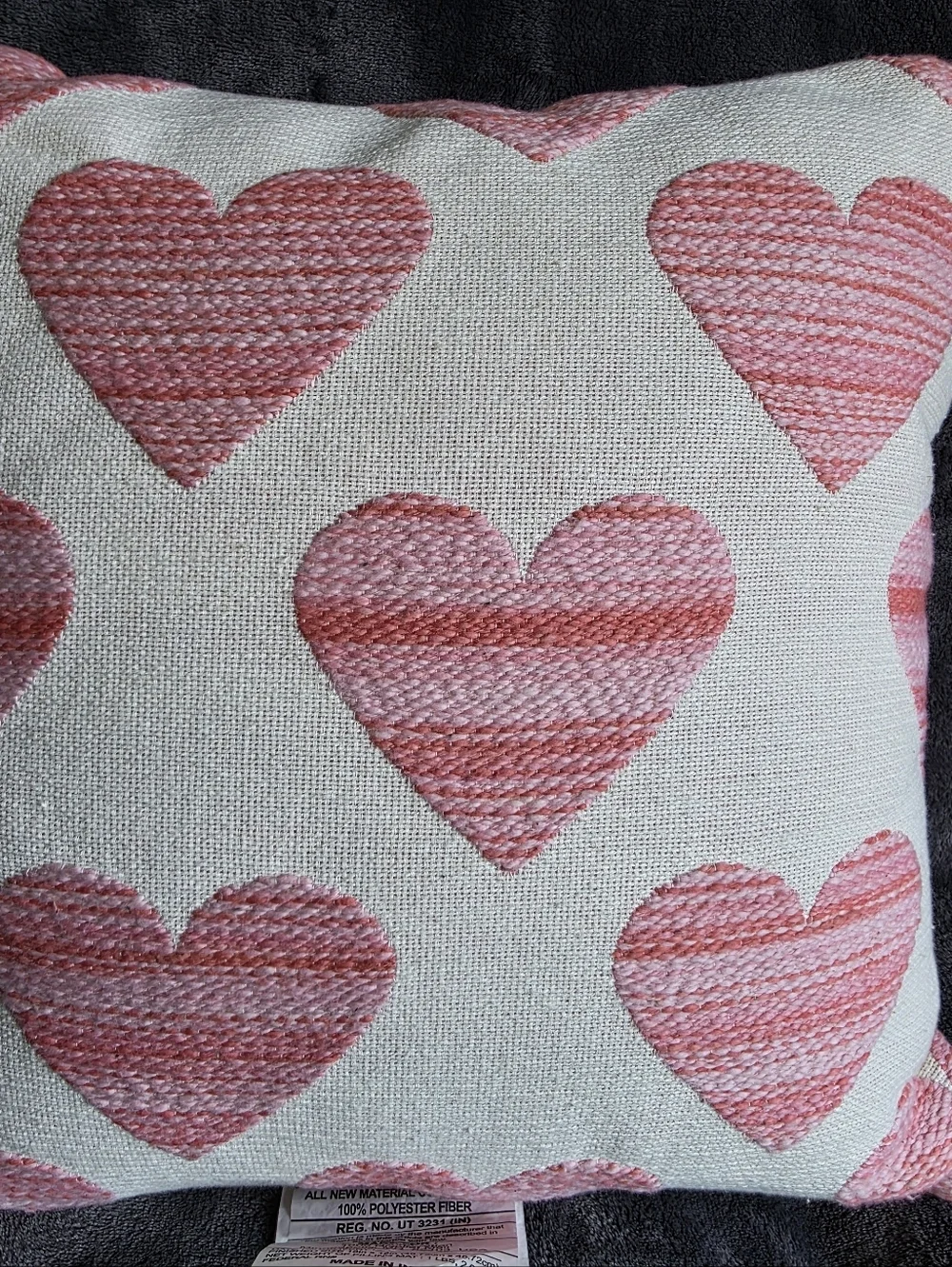 New Target Threshold Valentines Day Hearts Pink & White Decorative Throw Pillow